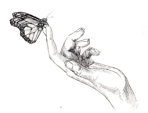 The touch of a butterfly Resume Website, Drawing Butterfly, Fashion Resume, Fly Drawing, Butterfly Art Drawing, Butterfly Sketch, Dark Style, Charcoal Art, Art Painting Gallery