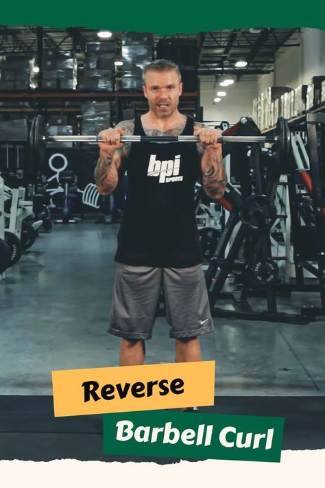 Reverse Barbell Curl Reverse Curls, Strong Arms, Triceps Workout, Senior Fitness, Arm Workout