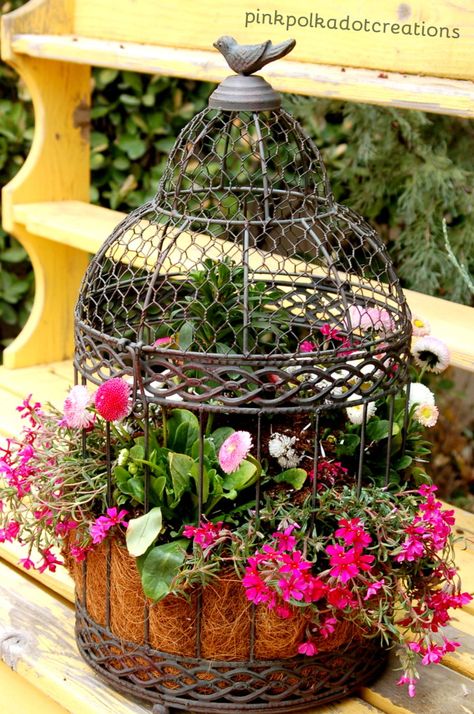 How to Plant a Bird Cage: Detailed tutorial on creating this fun piece for your yard! Birdcage Planter, Bird Cage Decor, Unique Planter, Garden Containers, Bird Cages, Deco Floral, Container Plants, Ikebana, Bird Cage