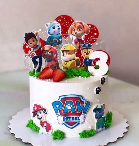 Paw Patrol Birthday Cake Boys, Fondant Unicorn Cake Toppers, Pj Masks Birthday Cake, Paw Patrol Party Favors, Paw Patrol Cakes, Paw Patrol Birthday Theme, Paw Patrol Decorations, Decor Tort, Baby Boy Birthday Cake