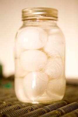 How to Pickle Eggs With Distilled Vinegar How To Pickle Eggs, Pickle Eggs, Egg In Vinegar, Pickled Sausage, Picked Eggs, Pickled Eggs Recipe, Pickled Cauliflower, Pickled Eggs, Boiled Egg Diet