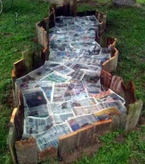 Uneven pallet wood raised bed border The Secret Garden, Garden Borders, Garden Bed, Veggie Garden, The Grass, Lawn And Garden, Raised Garden Beds, Shade Garden, Raised Garden