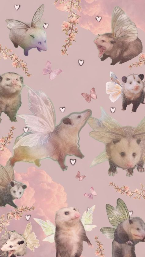 Possum Wallpaper Iphone, Opossum Aesthetic, Awesome Possum, Funny Rats, Vibes Wallpaper, Witchy Wallpaper, Wallpaper Nature, Funny Phone Wallpaper, Aesthetic Vibes