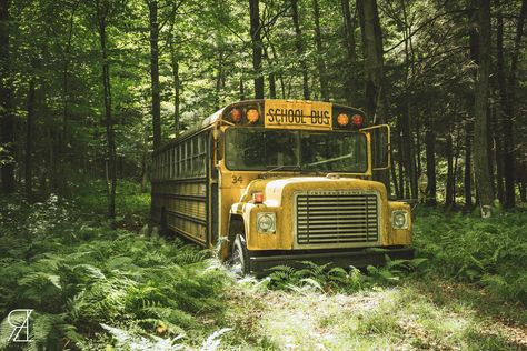 Escaping Aesthetic, Urban Places, Apocalypse Landscape, Urban Exploration Photography, Abandoned Photography, Wooded Area, Apocalypse Aesthetic, Urban Explorer, Abandoned Cars