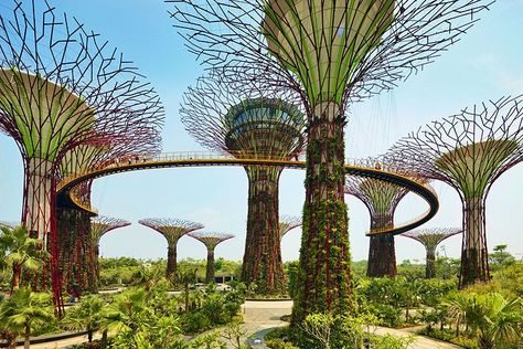 18 Top-Rated Tourist Attractions in Singapore | PlanetWare Singapore Tourist Attractions, Sands Hotel, Gardens By The Bay, Space Needle, Marina Bay, Tourist Attraction, Marina Bay Sands, Southeast Asia, Garden Arch