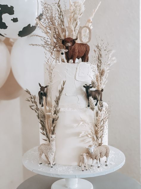 Boho Western Birthday Cake, Western Baby Shower Cake For Boys, Horse Smash Cake, Farm Baby Birthday, 1st Rodeo Cake, Western Baby Shower Cake, Western Birthday Cakes, Cow Birthday Cake, Western Cake