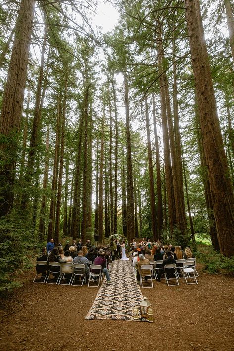 Forest Wedding Aesthetic Nature Based Wedding, Wedding Venues Forest, Outdoor Woodsy Wedding, Outdoor Forest Wedding, Forest Wedding Aesthetic, Small Forest Wedding, Large Group Photos, Forest Wedding Ceremony, Wedding Dresses Whimsical