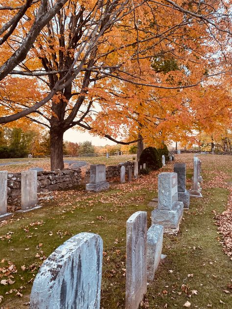 Salem Cemetery, Autumn Graveyard, Graveyard Aesthetic, Moody Autumn, Old Cemetery, American Cemetery, Old Cemeteries, Old Stone, Graveyard