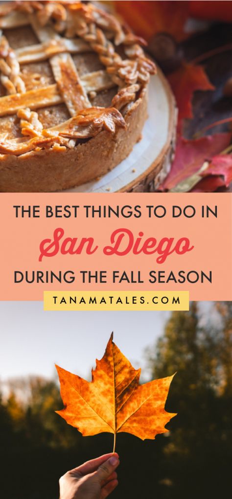 How to Spend Fall in San Diego: Things to do and Eat - Tanama Tales Pumpkin Patch Corn Maze, California Destinations, San Diego Travel, Los Angeles Travel, Visit Usa, Pumpkin Patches, Usa Travel Guide, Us Travel Destinations, San Francisco Travel