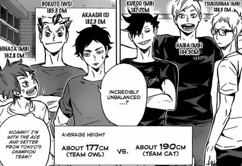 Play it safe. Push people away. Don't take risks. Don't try hard. Kee… #fanfiction Fanfiction #amreading #books #wattpad Bokuto Koutarou, Haikyuu Volleyball, Kuroo Tetsurou, Akaashi Keiji, Volleyball Anime, Haikyuu Manga, Haikyuu Characters, Haikyuu Fanart, Yamaguchi