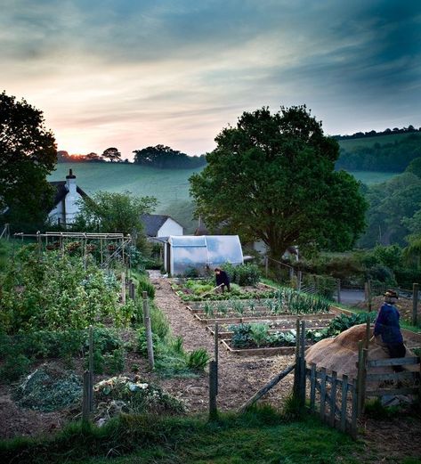 Potager Garden, Veg Garden, Have Inspiration, Veggie Garden, Garden Cottage, Farm Gardens, Country Gardening, Edible Garden, Kitchen Garden