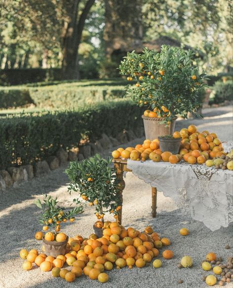 Tuscan Tablescape, Mediterranean Party, Sicily Wedding, Destination Wedding Italy, Orange Bouquets, Romantic Garden Wedding, Fruit Decorations, Italian Decor, Flower Company