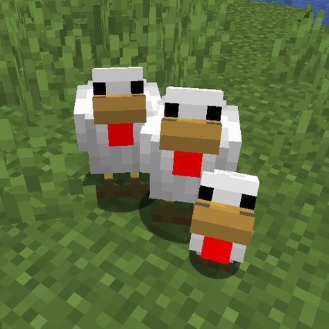 Chicken Minecraft, Minecraft Chicken, Minecraft Baby, Baby Chicken, Baby Chickens, Baby Animals, Minecraft, Chicken, Toys