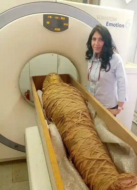 Egyptian pharaoh’s mummified body gives up its secrets after 3,500 years | Egyptology | The Guardian Mummification Process, Cairo University, Franklin Expedition, Mummified Body, Bohemian Homes, Bad Teeth, Ramses Ii, Egyptian Mummies, Warrior King