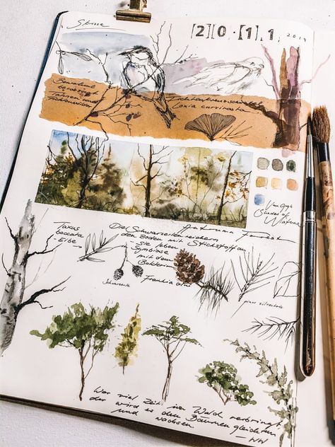 Forest Journal Ideas, Victorian Botanist Aesthetic, Moleskine Aesthetic, Botanist Aesthetic, Moleskine Drawing, Nature Sketching, Forest Journal, Nature Sketchbook, Sketchbook Watercolor