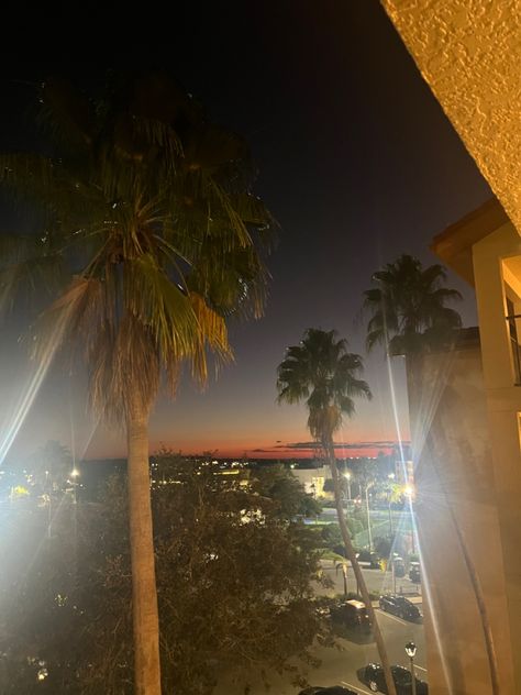 #palmtrees #florida #kissimmee #orlando #sunset #vacation #travel #resort Florida Kissimmee, Sunset Vacation, Car Aesthetics, Kissimmee Florida, Street Cars, Kissimmee, Vacation Travel, Orlando Florida, Palm Trees