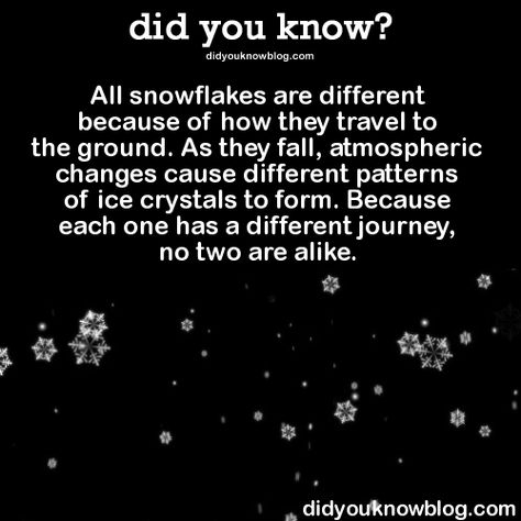 Snowflake Meaning, Finding Hope, Ice Crystals, Book Report, Happy Vibes, The More You Know, Inspirational Thoughts, Winter Crafts, Spanish Quotes