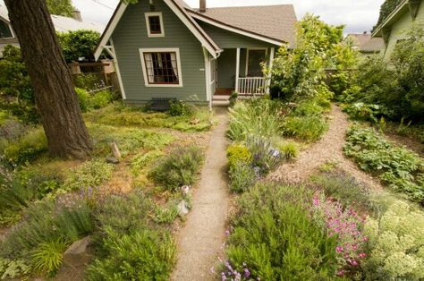 Backyard native garden Kitchen Preppy, Lamborghini Vintage, Grass Landscaping, Natural Gardening, Native Plant Landscape, Tattoo Halloween, Oregon Garden, Texas Native Plants, Food Decorating