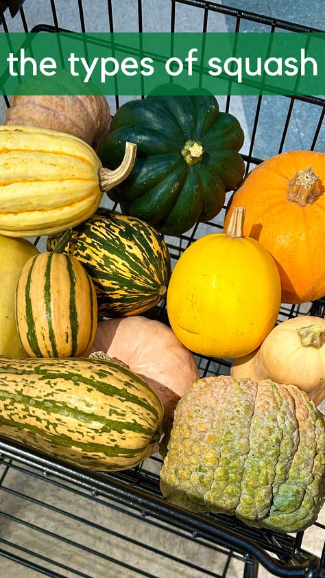 What's your favorite way to enjoy winter squash? Become a pro in the squash aisle with our new blog, explaining the types of squash and how to best cook them. #Coop #FoodCoop #Delicious #Food #Foodie #SupportLocal #Local #ShopLocal #Bellingham #BellinghamWA #BHam #WA #PNW #Whatcom #WhatcomCounty #Grocery #GroceryStore #GroceryShopping #Groceries #WinterSquash #SquashRecipe #Pumpkins Types Of Squash Winter, Different Kinds Of Squash, Types Of Squash, Squash Types, Winter Squash Recipes, Best Cook, Yellow Squash Recipes, Enjoy Winter, Yellow Squash