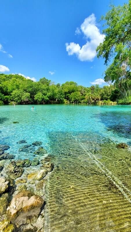 Silver Glen Springs Recreation Area (views!) swimming, snorkeling, hiking, Lake George (things to do) 🌴 Ocala National Forest, Florida travel blog - Flashpacking America Us Vacation Ideas, Springs In Florida, Ocala National Forest, Florida Aesthetic, Underwater Pictures, Florida State Parks, Be Adventurous, Florida Springs, Ocala Florida