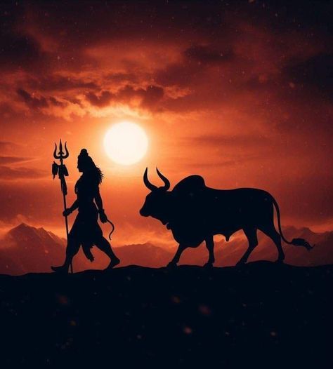 Shiva And Nandi, Shiva Pics, Lord Shiva Pics, My Photo Gallery, Lord Shiva, Shiva, Photo Gallery, Quick Saves, Art