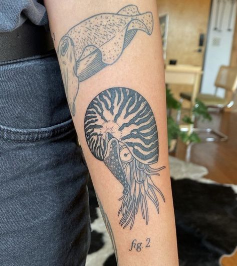 Mollusk Tattoo, Sea Creature Tattoo Ideas, Horseshoe Crab Tattoo, Archaeology Tattoo, Sea Creatures Tattoo, Cuttlefish Tattoo, Sea Creature Tattoo, Crab Tattoos, Sea Tattoo Sleeve