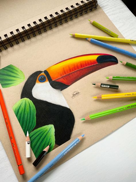 Pencils Colour Drawing, Easy Drawings With Colour Pencils, Color Pencils Draw, Realistic Animal Drawings Colour, Colour Shading Drawing, Colour Pencil Art Easy, Sketches Colour Pencil, Colour Pencil Art Drawings, Colour Pencil Drawing Easy