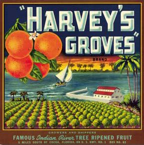 Harvey's Groves Florida Fruit Orange Crate Labels, Cocoa Florida, Vintage Fruit Crate Label, Vegetable Crate Labels, Fruit Labels, Vegetable Crates, Fruit Crate Label, Vintage Advertising Art, Vintage Crate