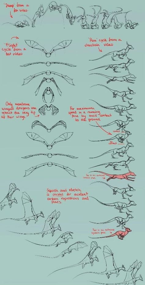 Folded Dragon Wings Reference, Dragon Drawing Reference, Dragon Reference, Drawing Dragons, Dragon Poses, Dragon Anatomy, Dragon Stuff, Animal Movement, Illustration Tutorial