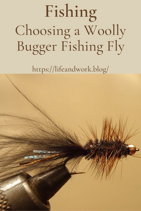 Tying Flies, Types Of Insects, Different Fish, Fly Fishing Tips, Fishing Stuff, Fly Fishing Flies Trout, Fly Fisherman, Moving Water, Crappie Fishing