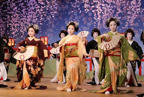 Japanese Traditional Dancers