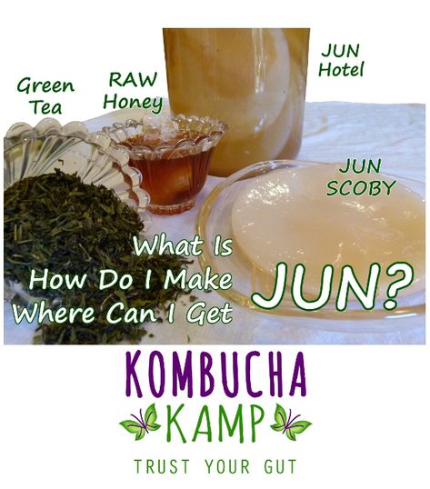 Jun Tea, Blueberry Kombucha, Kombucha Mother, Jun Kombucha, Kombucha Scoby, Green Tea Drinks, How To Brew Kombucha, Kombucha Recipe, Kefir Recipes