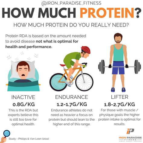 How Much Protein Do I Need, Foods To Build Muscle, Healthy High Protein Foods, Workouts Programs, Best Protein Sources, High Protein Diets, Protein Deficiency, High Protein Food, Muscle Building Foods