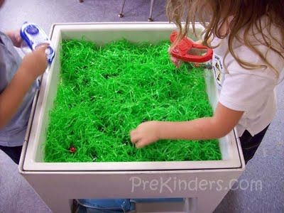 Easter Grass Sensory Table - someone else gave me this idea and I just found Easter grass for 39¢ a bag online at Party City. Can't wait to set this up in my room!-- Kids love this for sensory. Could also be a Spring or Summer sensory table. Insects Preschool, Sensory Tubs, Bugs Preschool, Sensory Tub, Insects Theme, Spring Preschool, Sensory Boxes, Sensory Table, Spring Activities