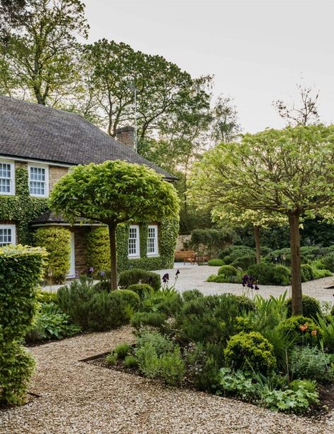 Parterre garden: an elegant design with evergreens - Gardens Illustrated Highgrove Garden, Gravetye Manor, Country Garden Design, Evergreen Landscape, Parterre Garden, Inside Garden, Evergreen Garden, Estate Garden, English Country Gardens