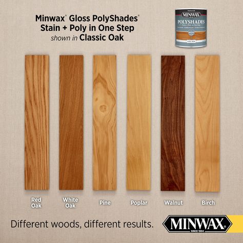 Wood Polish Shades, Light Wood Stain Colors, Light Wood Stain, Minwax Polyshades, Golden Oak Stain, Special Walnut Stain, Half Pint, Wood Polish, White Pine