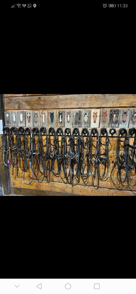 12x12 Tack Room Ideas, Horse Tack Organization Ideas, Tack Room Ideas Organizations, Horse Tack Rooms Western, Western Tack Room Organization, Horse Trailer Tack Room Organization, Western Barn Ideas, Tack Room Ideas Diy, Horse Tack Room Ideas