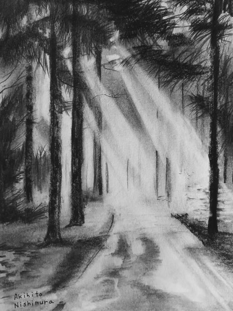 Woods Drawing, Easy Charcoal Drawings, Charcole Drawings, Diy Canvas Art Easy, Landscape Pencil Drawings, Charcoal Sketch, Charcoal Art, Dark Art Drawings, Landscape Drawings