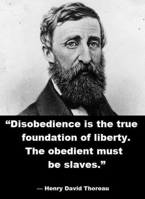 Henry David Thoreau Quotes, Admission Essay, Writing Essays, Thoreau Quotes, Anonymous Quotes, Assignment Writing, Civil Disobedience, Henry David Thoreau, Adventure Quotes