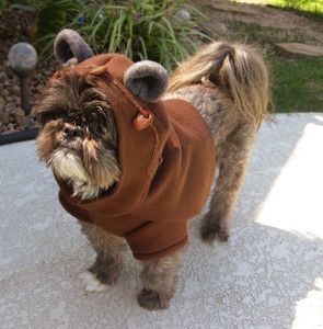 Everyone needs an Ewok in their lives, and now they have a way to get it! Ewok Dog Costume, Ewok Costume, Star Wars Ewok, Rottweiler Funny, Cow Costume, Dog Crochet, Episode Vii, Dog Collar Tags, Star Wars Costumes