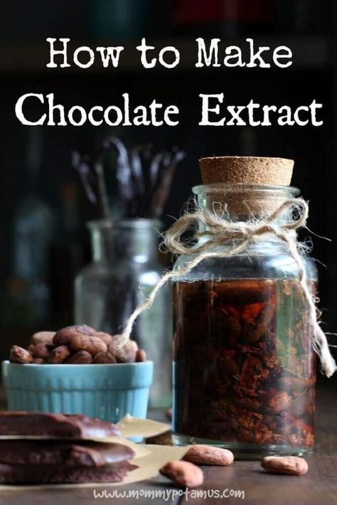 Diy Extracts, Chocolate Extract, Homemade Vanilla Extract, Cacao Beans, Homemade Spices, Homestead Survival, Cacao Nibs, Homemade Vanilla, Spice Mixes