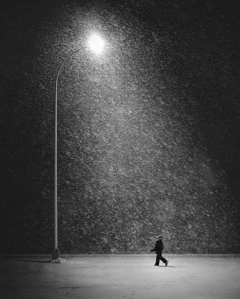 Snow Blizzard, Snow Night, Bnw Photography, Street Photo, Reference Images, Art Movement, After Dark, Night Photography, Black And White Photography