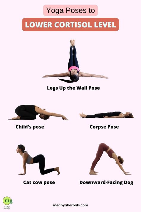 How to Lower Cortisol Levels: 9 Yoga Poses that Help Calming Yoga Poses, Seated Forward Bend, Cortisol Reduction, How To Lower Cortisol, Calming Yoga, Reduce Cortisol, Deep Rest, Lower Cortisol, Lower Cortisol Levels