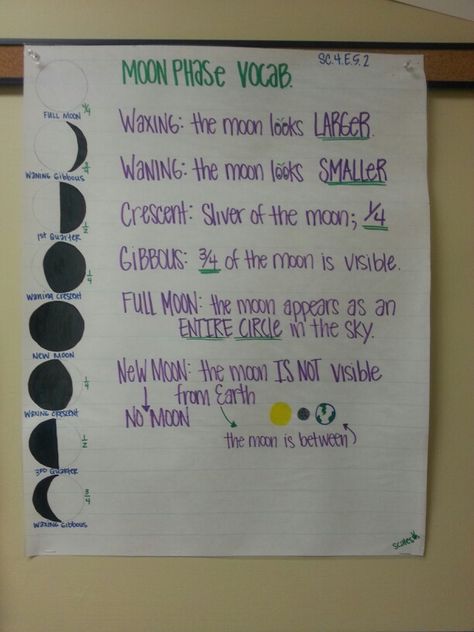 Moon phases Big idea 5 (4th grade) Moon Phases Lesson Plans Activities, Earth Science Classroom, Earth Moon Sun, Moon Lessons, Moon Unit, Earth Science Activities, Fourth Grade Science, Science Anchor Charts, 7th Grade Science