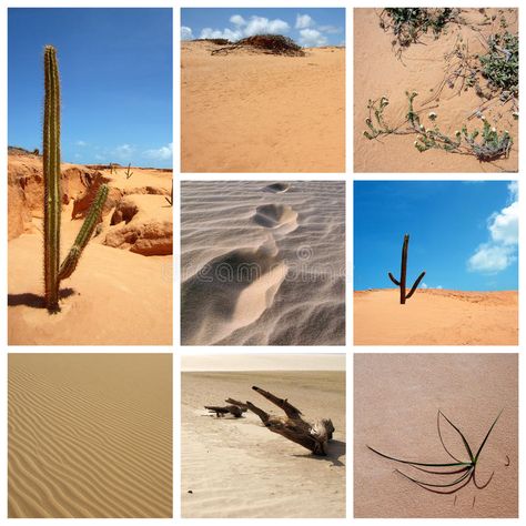 Desert collage. A collage about desert photos , #Sponsored, #collage, #Desert, #photos, #desert #ad Desert Collage, Desert Photos, Sand Landscape, Graphic Arts Illustration, A Collage, Art Illustration, Graphic Art, Photo Image, Illustration Art