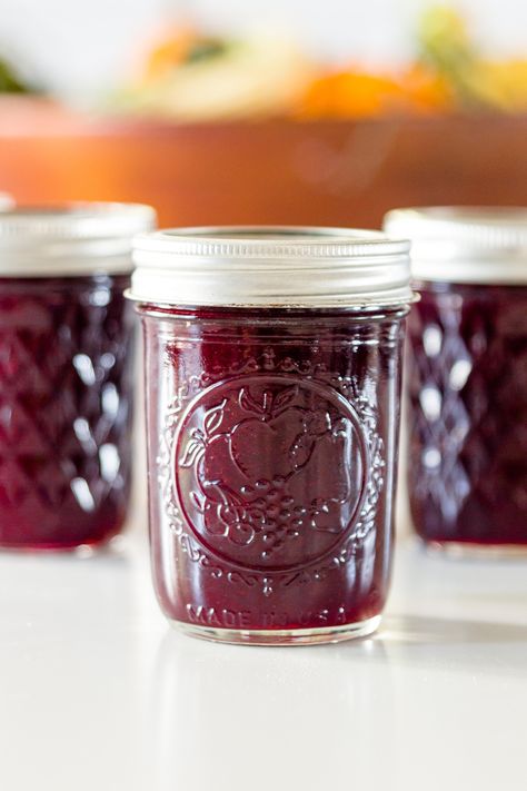 Grape butter is a great way to use up Concord grapes from a farmer's market or your own yard. Mixed with equal parts sugar and placed in a quick water bath, this butter will be perfect all year! | wyseguide.com #grape #grapebutter #grapejam #jam #jelly #canning #preserving Grape Butter, Concord Grape Recipes, Easy Canning, Grape Jam, Grape Recipes, Water Bath Canning, Grape Jelly, Home Canning, Grape Juice