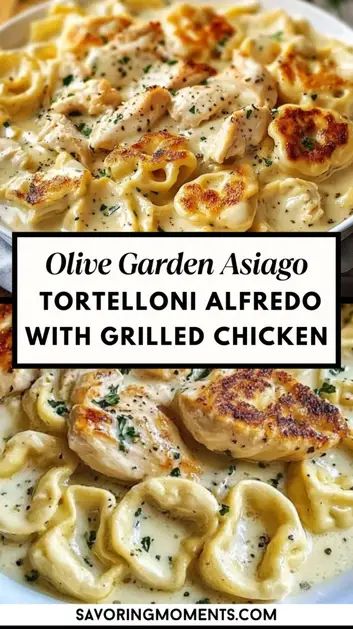 Craving Olive Garden’s famous Asiago Tortelloni Alfredo with Grilled Chicken? Now you can make this creamy, cheesy, and savory dish at home! Enjoy tender grilled chicken over Asiago-stuffed tortelloni, all smothered in rich Alfredo sauce. It’s an irresistible copycat recipe perfect for pasta lovers. Asiago Tortellini, Grilled Chicken Alfredo, Asiago Chicken, Tortellini Alfredo, Olive Garden Alfredo Sauce, Olive Garden Recipes, Pasta Noodle Recipe, Chicken Tortellini, Tortellini Recipes