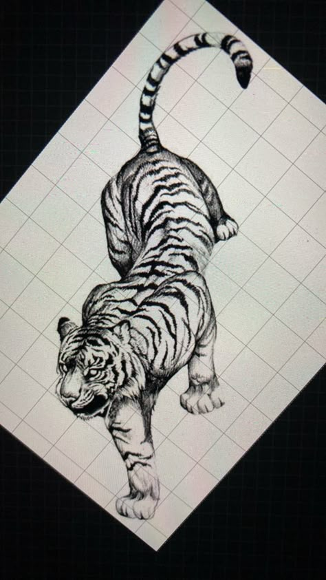 Tiger Drawing Tattoo, Tiger Full Body Drawing, Big Tiger Tattoo, Full Body Tiger Tattoo Design, Tiger Tattoo Stencil, Old School Tiger Tattoo, Line Art Tiger Tattoo, Prowling Tiger Tattoo, Tiger Tattoo Reference