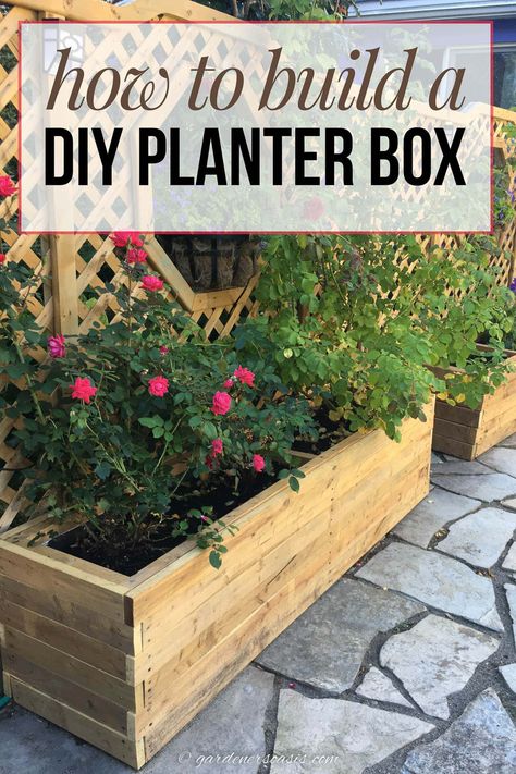 Large DIY planter box filled with roses with the text "How to build a DIY planter box" across the top Large Diy Planters, Wooden Planter Boxes Diy, Large Planter Boxes, Diy Planter, Window Box Flowers, Diy Planter Box, Outdoor Decorating, Evergreen Plants, Home Garden Design