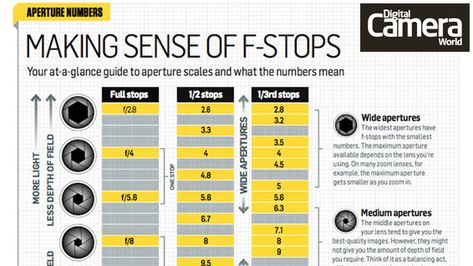 Cheat sheet: How to understand f-stops | Digital Camera World Photography Cheat Sheet, F Stop, Manual Photography, Camera Tricks, Camera World, Photography Cheat Sheets, Editing Photos, Photography Help, Photography Basics